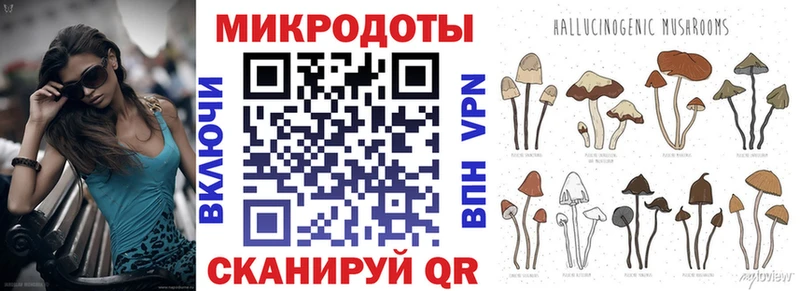 Псилоцибиновые грибы мухоморы Кингисепп
